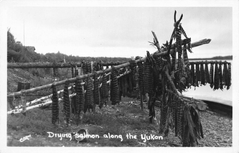 Real Photo Postcard Drying Salmon Along The Yukon in Alaska~121356