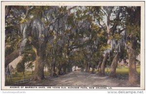 Louisiana New Orleans Avenue Of Mammoth Oaks Audubon Park 1927
