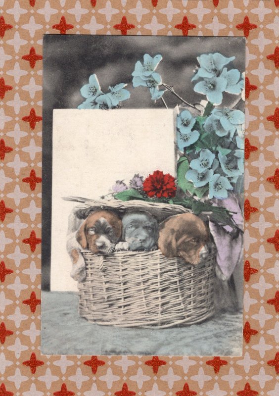 Puppies In A Basket With Leaves & Flowers, Postcard, Antique/Vintage, Dogs, Pets