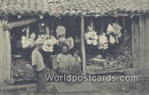 Colombo Native Fruit Shop Sri Lanka Postcard