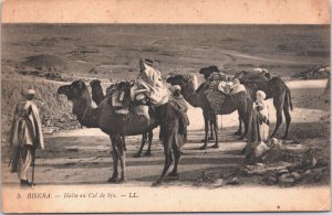 Algeria Biskra Halte au Col de Sfa Vintage Postcard 09.51