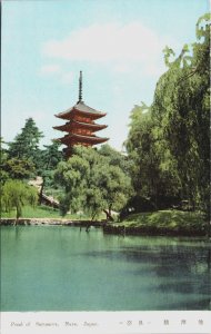 Japan Pond of Sarusawa Nara Vintage Postcard C153