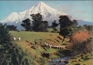 New Zealand Postcard - Mt Egmont / Mount Taranaki - Stratovolcano  RR16151