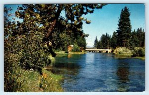 LAKE TAHOE, CA California ~ TRUCKEE RIVER & FANNY BRIDGE  c1950s Postcard