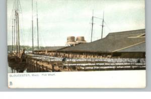 TUCK GLOUCESTER MA Fish Wharf c1910 Postcard