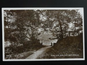 Cheshire WOODLEY Bowl Acre Wood POLE BANK c1926 RP Postcard by Valentine 99398