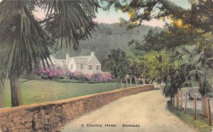 A Country Home, Bermuda, Early Hand Colored Postcard, Unused