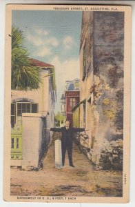 P2357,  vintage postcard treasury st. st augustine fla narrow 6 ft 1 inch