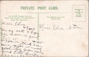 Bear Cages Riverdale Park Toronto Ontario ON Antique Postcard D41