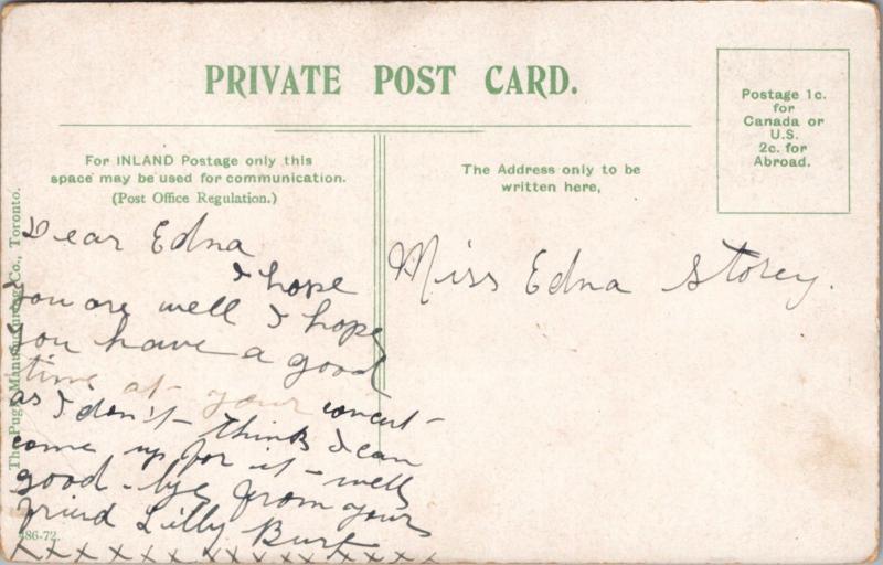 Bear Cages Riverdale Park Toronto Ontario ON Antique Postcard D41