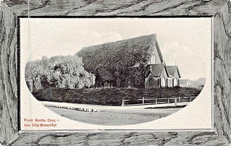 SANTA CRUZ CALIFORNIA~THE BEAUTIFUL CITY-FAUX WOOD FRAME PHOTO POSTCARD 