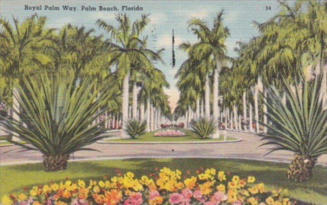 Florida Palm Beach Royal Palm Way 1951