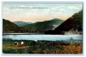 1915 Head of Kanawha River Gauley Bridge WV Posted Antique Postcard 