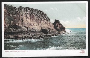 Bald Head Cliff, York, Maine, 1901 Postcard, Detroit Photographic Co.