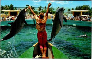 Postcard TOURIST ATTRACTION SCENE Miami Florida FL AM9779