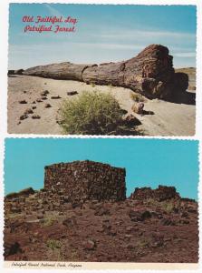 (2 cards) Old Faithful Log Agate House Petrified Forest National Park AZ Arizona