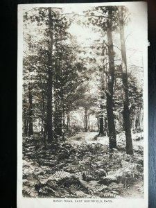 Vintage Postcard 1911 Birch Road East, Northfield Massachusetts (MA)