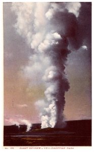 Wyoming  Yellowstone National Park  Giant Geyser