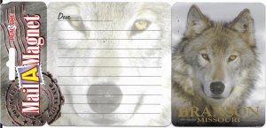 Branson, Missouri.  Mint card with a magnet. Grey Wolf on magnet. very nice.