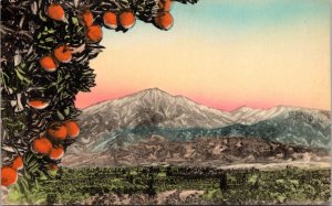 Postcard Orange Groves and Snow Capped Mountains - hand-colored