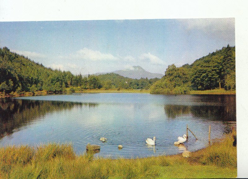 Scotland Postcard - Loch Ard - Aberfoyle - Perthshire - Ref 20170A