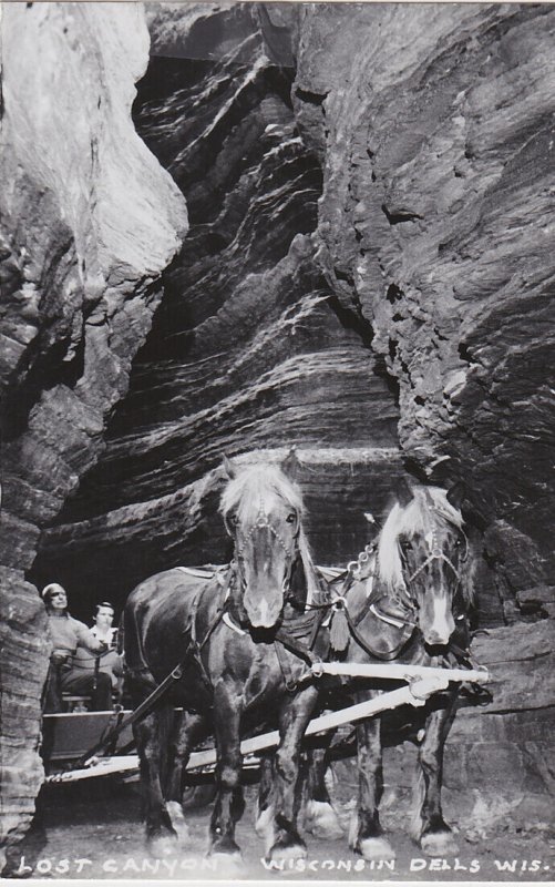 Wisconsin Dells Horse Drawn Sightseeing Wagon At Lost Canyon Real Photo