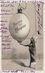 EASTER / BUONA PASQUA  Rabbit under Egg Lantern  postcard