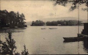 Newport New Hampshire NH Lake Sunapee Vintage Postcard