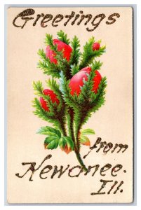 Floral Greetings From Kewanee Illinois IL UNP Unused DB Postcard w Micah W7