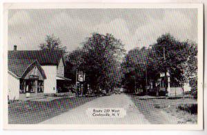 Route 239, Cowlesville NY
