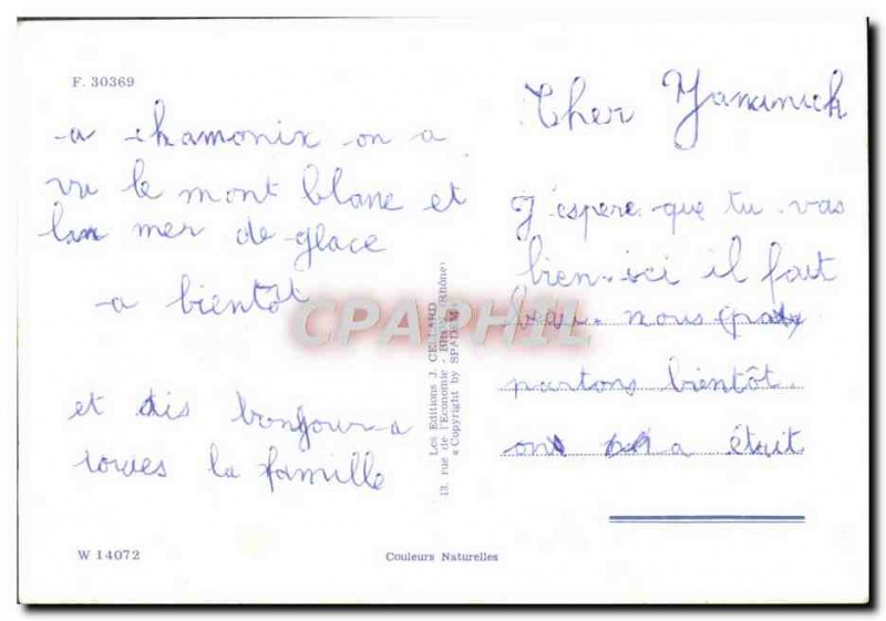 Postcard Modern Happy Holidays Donkey Mule