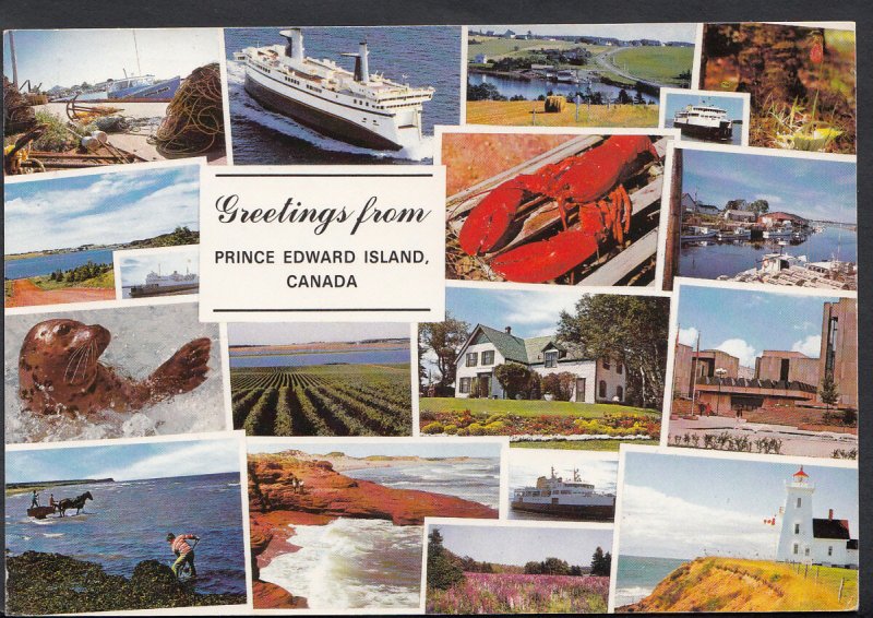 Canada Postcard - Greetings From Prince Edward Island   B2508