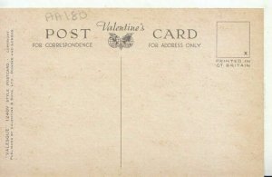 Lincolnshire Postcard - Tulip Fields - Spalding - Ref TZ6443