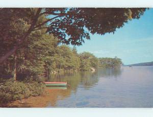 Unused 1950's BOAT & TREES AT SHORELINE Adams New York NY r9313