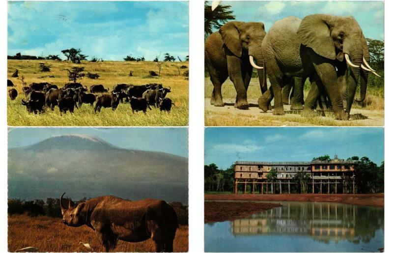 KENYA 96 AFRIQUE AFRICA Postcards CPM Mostly 1950-1990 (L3287)