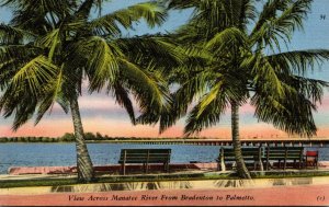 Florida Bradenton View Across Manatee River From Bradenton 1954