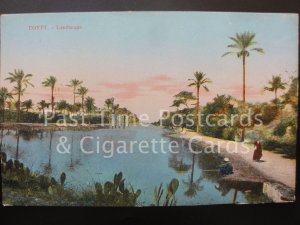 Egypt: Landscape, Old Postcard 