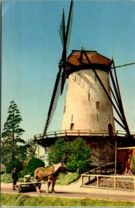 Vtg Dutch Windmill Hollandse Molen Hollandische Muhle Netherlands Postcard