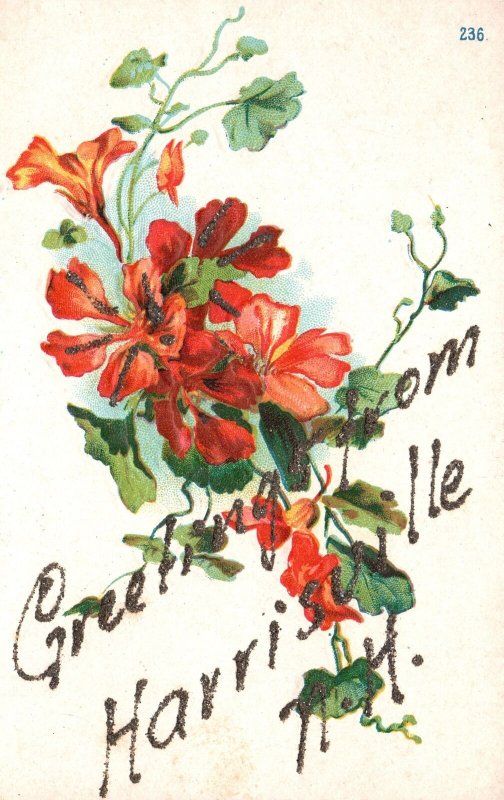 Vintage Postcard Greetings Card from Harrisville New Hampshire Red Flowers