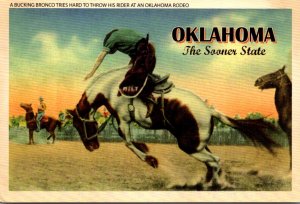 Oklahoma Rodeo Scene Bucking Bronco Trying To Throw His Rider