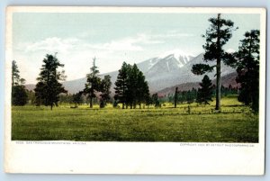 Flagstaff Arizona AZ Postcard San Francisco Mountains Scenic View c1905s Antique