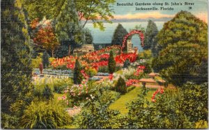 Postcard FL Jacksonville - Beautiful Garden along St. John's River