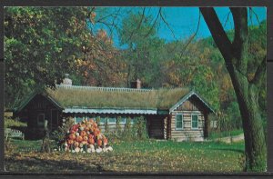 Wisconsin, Blue Mounds - Sod Roof Cabin - Little Norway - [WI-205]