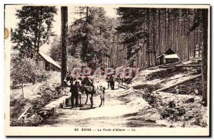 Old Postcard Evisa the forest d & # 39altone