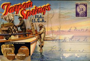 Folder - Florida. Tarpon Springs      (16 Views)