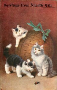 Postcard; Sophie Sperlich Cats & Beetle, Greetings from Atlantic City NJ c1908