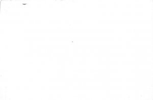 Joe Di Maggio Baseball Player View Postcard Backing 