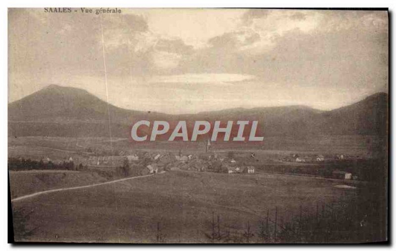 Old Postcard Saales Vue Generale