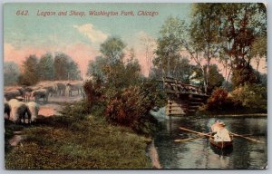 Vtg Chicago Illinois IL Washington Park Lagoon & Sheep 1910s View Postcard