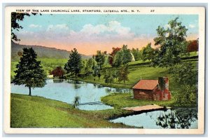 c1910 Lake Churchill Lake Stamford Catskill MTS New York NY Vintage Postcard 